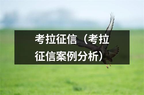 考拉征信(考拉征信案例分析)