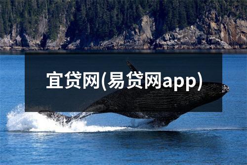 宜贷网(易贷网app)