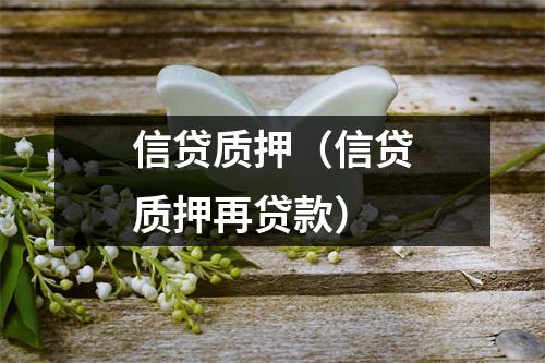 信贷质押（信贷质押再贷款）
