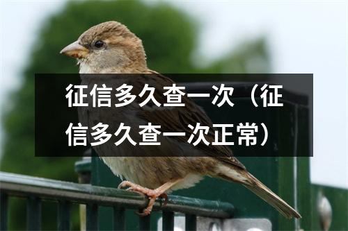 征信多久查一次（征信多久查一次正常）