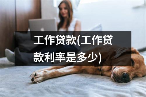 工作贷款(工作贷款利率是多少)