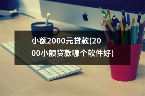 小额2000元贷款(2000小额贷款哪个软件好)