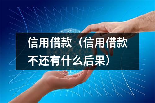 信用借款（信用借款不还有什么后果）