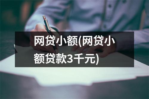 网贷小额(网贷小额贷款3千元)