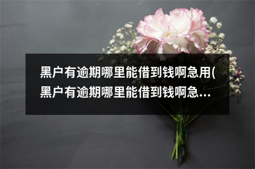 黑户有逾期哪里能借到钱啊急用(黑户有逾期哪里能借到钱啊急用昆山)