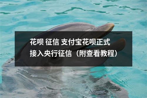 花呗 征信 支付宝花呗正式接入央行征信（附查看教程）