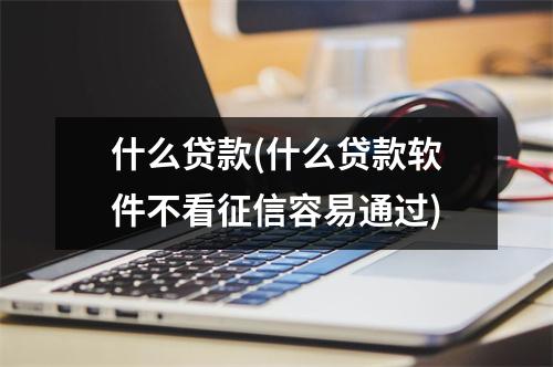 什么贷款(什么贷款软件不看征信容易通过)