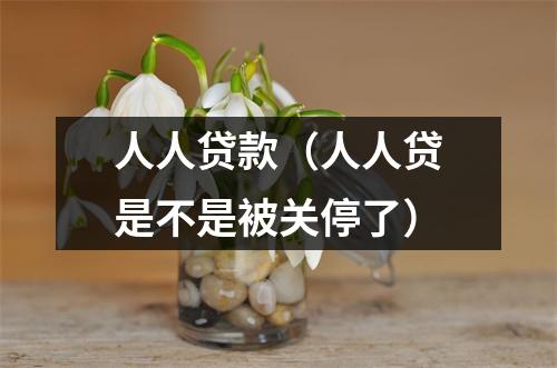 人人贷款(人人贷是不是被关停了)