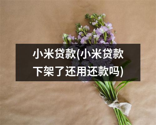 小米贷款(小米贷款下架了还用还款吗)