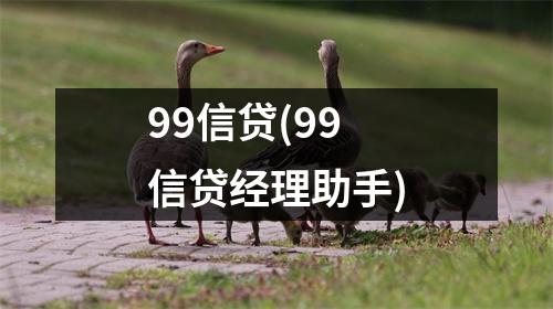 99信贷(99信贷经理助手)