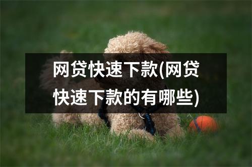 网贷快速下款(网贷快速下款的有哪些)