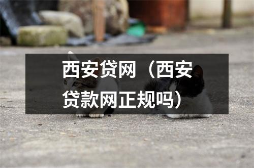 西安贷网(西安贷款网正规吗)