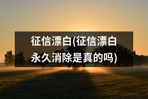 征信漂白(征信漂白永久消除是真的吗)