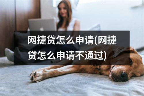 网捷贷怎么申请(网捷贷怎么申请不通过)