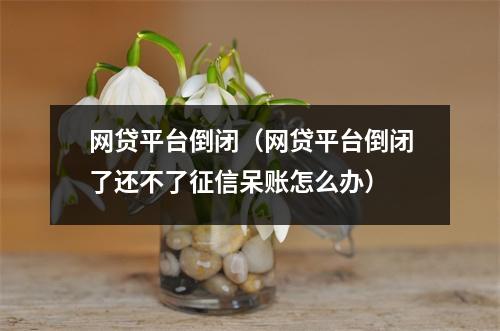 网贷平台倒闭（网贷平台倒闭了还不了征信呆账怎么办）