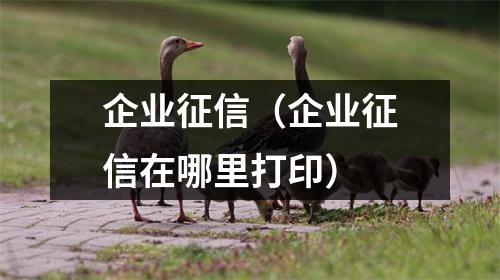 企业征信（企业征信在哪里打印）