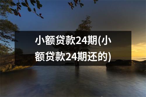 小额贷款24期(小额贷款24期还的)