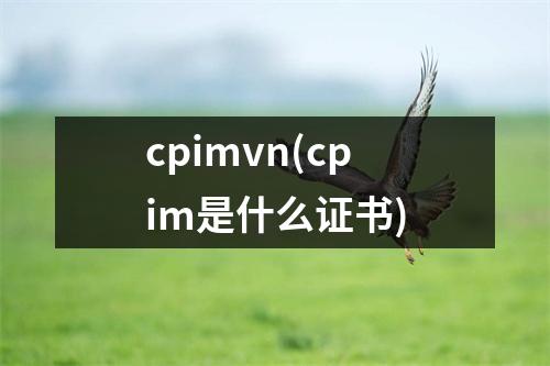 cpimvn(cpim是什么证书)