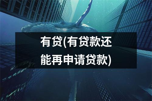 有贷(有贷款还能再申请贷款)