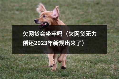 欠网贷会坐牢吗(欠网贷无力偿还2023年新规出来了)