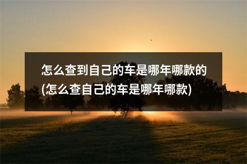 怎么查到自己的车是哪年哪款的(怎么查自己的车是哪年哪款)