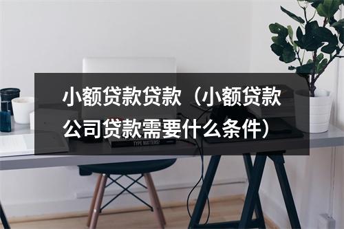 小额贷款贷款（小额贷款公司贷款需要什么条件）