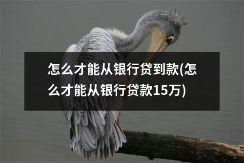 怎么才能从银行贷到款(怎么才能从银行贷款15万)