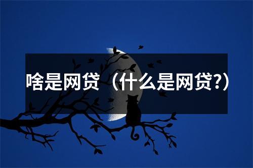 啥是网贷(什么是网贷?)