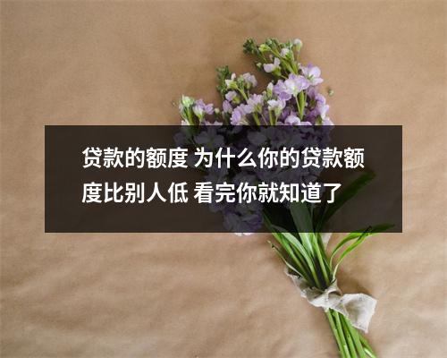 贷款的额度 为什么你的贷款额度比别人低 看完你就知道了 