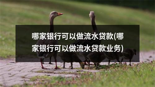 哪家银行可以做流水贷款(哪家银行可以做流水贷款业务)