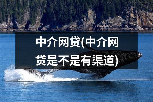中介网贷(中介网贷是不是有渠道)