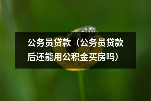 公务员贷款(公务员贷款后还能用公积金买房吗)