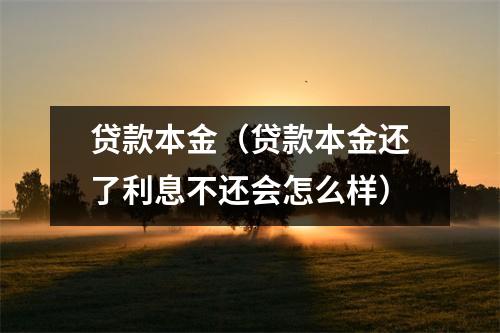 贷款本金(贷款本金还了利息不还会怎么样)
