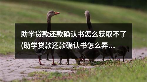 助学贷款还款确认书怎么获取不了(助学贷款还款确认书怎么弄)