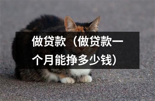 做贷款(做贷款一个月能挣多少钱)