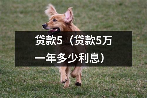 贷款5（贷款5万一年多少利息）