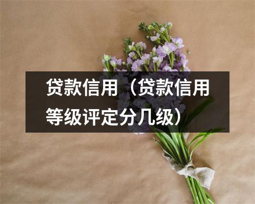 贷款信用（贷款信用等级评定分几级）