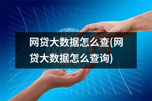 网贷大数据怎么查(网贷大数据怎么查询)