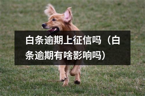 白条逾期上征信吗（白条逾期有啥影响吗）