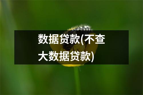 数据贷款(不查大数据贷款)