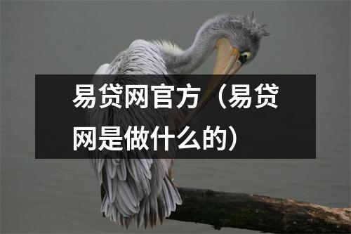 易贷网官方（易贷网是做什么的）