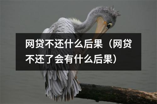 网贷不还什么后果(网贷不还了会有什么后果)