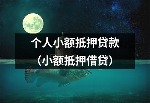 个人小额抵押贷款（小额抵押借贷）