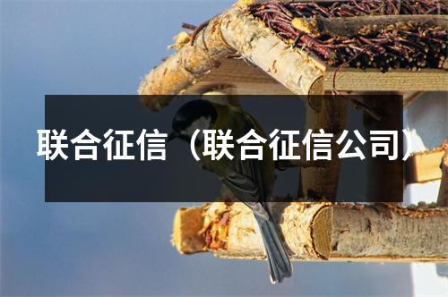 联合征信（联合征信公司）