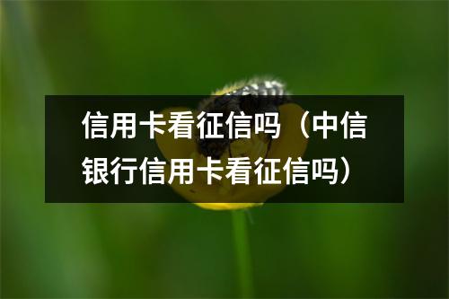 信用卡看征信吗（中信银行信用卡看征信吗）