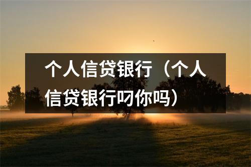 个人信贷银行（个人信贷银行叼你吗）