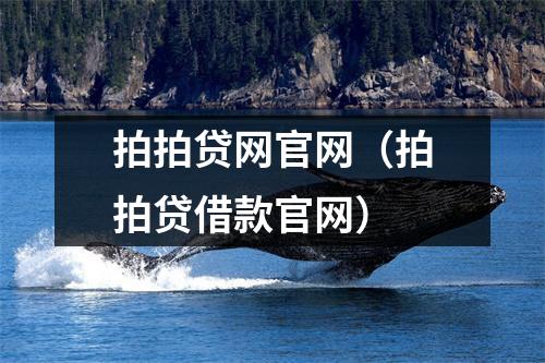 拍拍贷网官网（拍拍贷借款官网）