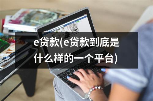e贷款(e贷款到底是什么样的一个平台)