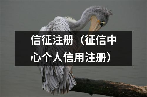 信征注册(征信中心个人信用注册)