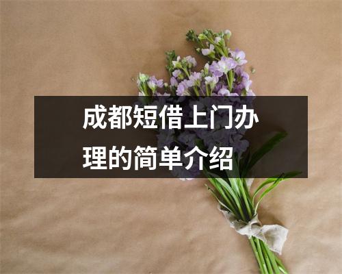 成都短借上门办理的简单介绍